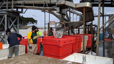 La asociación de los pescadores