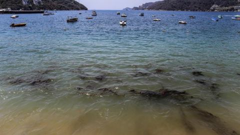 Derrame de combustible en el mar