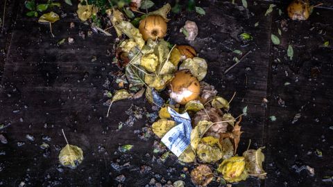 Desperdicio de comida