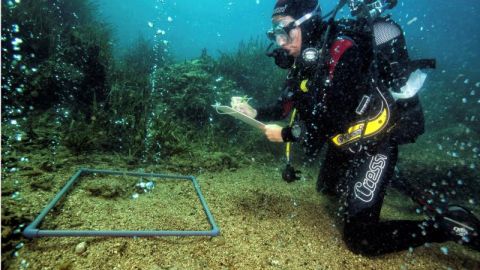 Nuria Teixidó, ecóloga marina de Barcelona