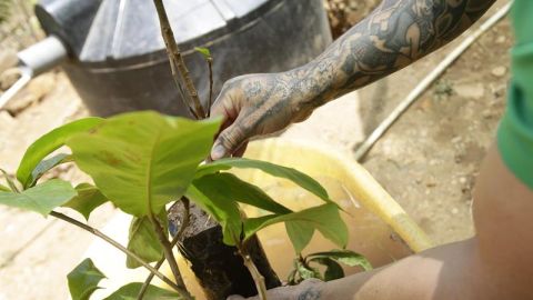 Panamá y residuos sólidos