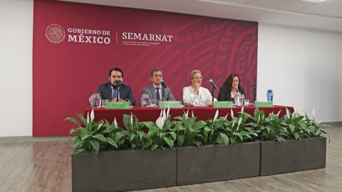 Oficina Verde Semarnat