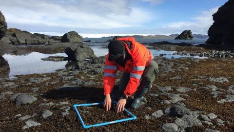  temperatura del mar alrededor de La Antártida.