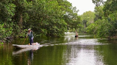 Río cerca de la Bahía de Cispatá (Colombia).