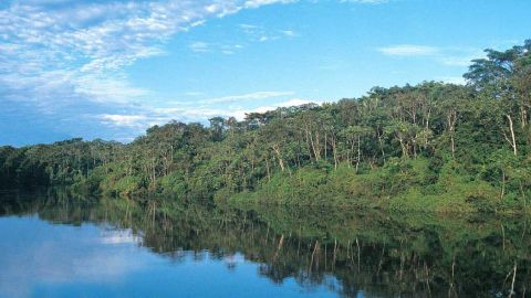 Amazonia peruana
