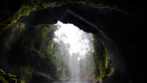 Cavernas de Colombia