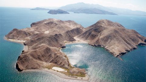 Isla de Baja Califorania