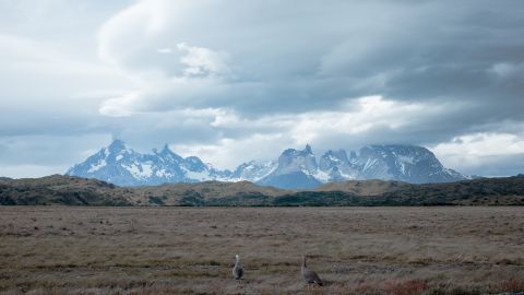 Patagonia