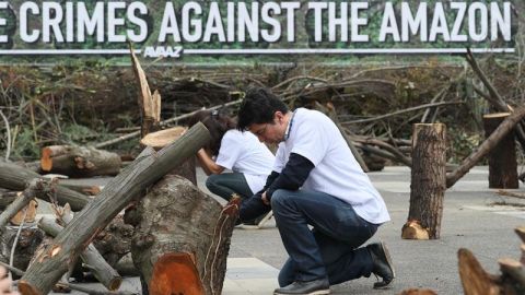 En riesgo 68 por ciento de las áreas de conservación en la Amazonia 