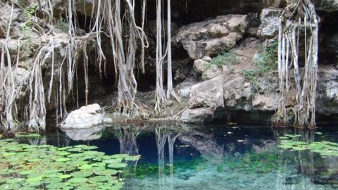 Cenote XBatún, Umán, Yucatán