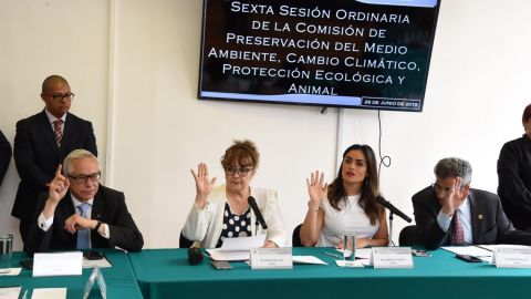 Buscan actualizar Ley de Protección de los Servicios Ambientales 