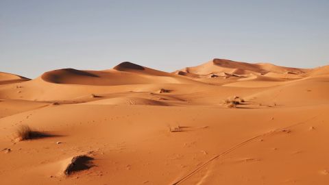 Desierto del Sahara 