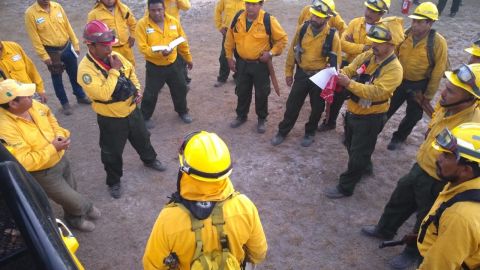 Combatientes de incendios