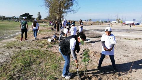 Reforestación en Guanajuato