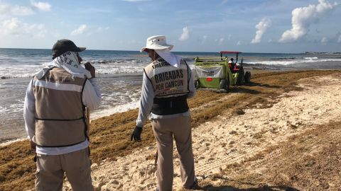 Sargazo en Cancún
