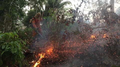 Combatientes del fuego en Amazonia