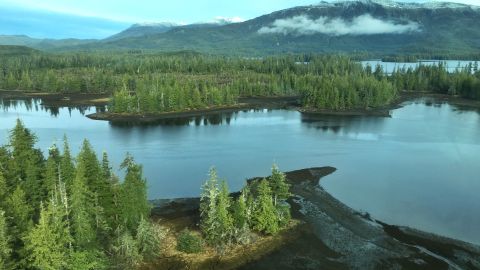 Bosque Nacional Tongass, Alaska