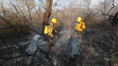 Combatientes de incendios