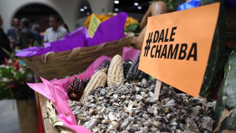 Huitlacoche. Dale Chamba