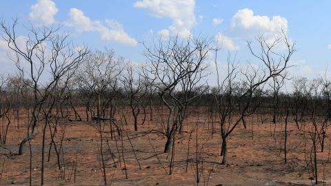 San José de Chiquitos 