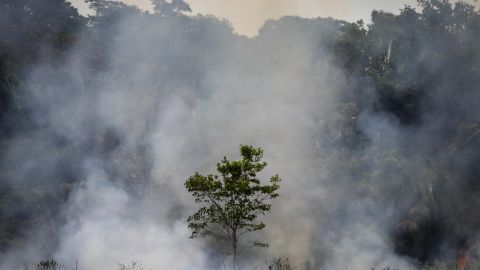Incendio en Amazonia