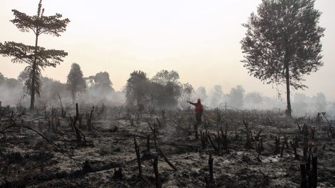 Incendio en Indonesia