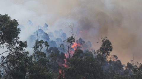 Incendio en Ecuador