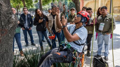 Capacitación para arbolado