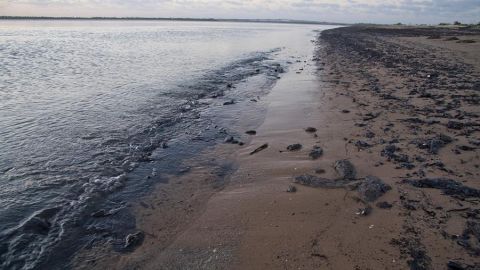 Playa contaminada en Brasil