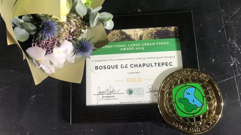 Premio Bosque de Chapultepec
