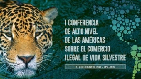 Tráfico de especies