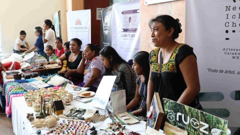 Exposición en selva maya