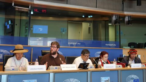 Plataforma europa peru