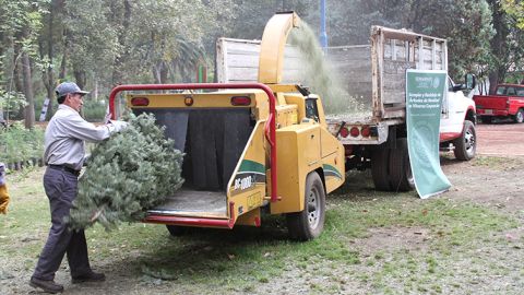 Árboles de Navidad reciclados