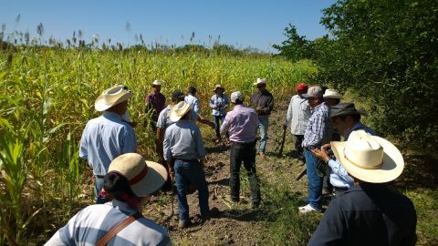 proyecto GEF Especies Invasoras 