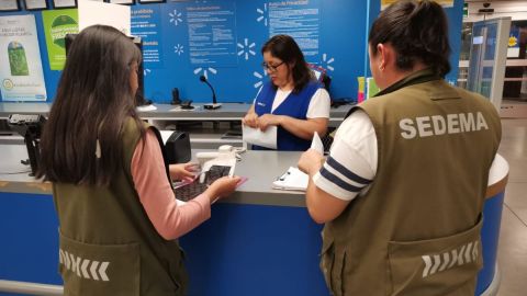 Inspección de Sedema