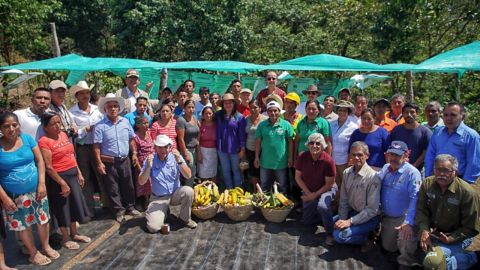 Semarnat. Sembrando vida