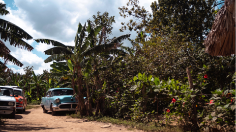 Auto en cuba