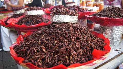 Chapulines