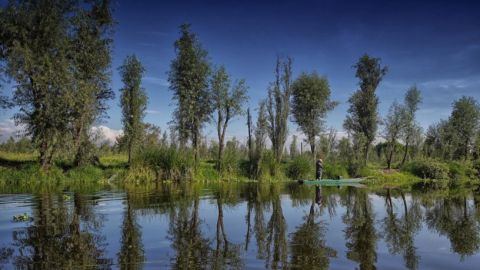 Chinampas de Xochimilco