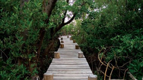 Reserva de la Biósfera Sian Ka'an