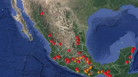 Incendios forestales