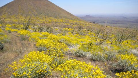 El Pinacate y Gran Desierto de Altar