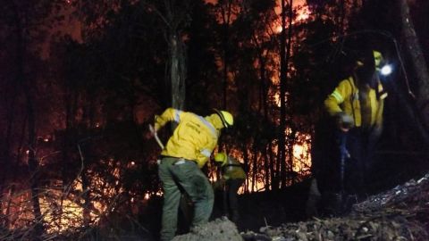 Combatientes de fuego