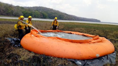 Combatientes del fuego