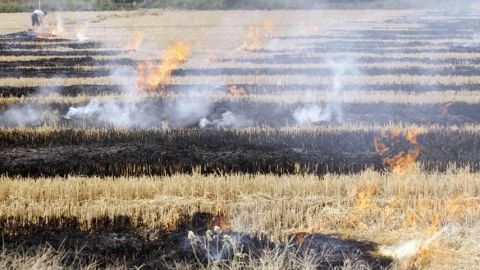Quema agrícola
