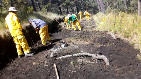 Combatientes de fuego