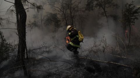 Combatiente de fuego