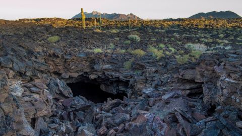 Reserva de la Biósfera el Pinacate 