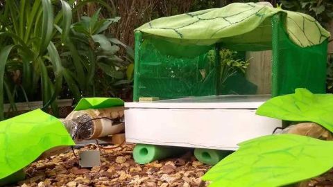 Robotic Turtle to Clean Lakes